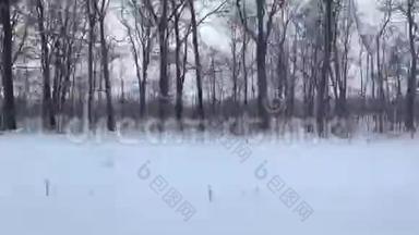 冬季俄罗斯景观从火车车窗，公交车，汽车..